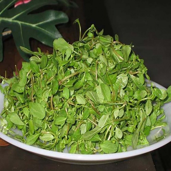 Rau đắng nhà trồng tự nhiên